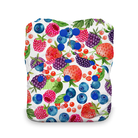 Thirsties Stay Dry Natural One Size All-in-One Diaper (Snap Closure) *CLEARANCE*